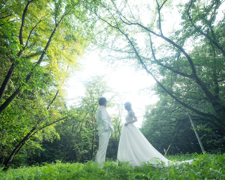 福岡　西公園での撮影│福岡の前撮り・フォトウェディングはTHE WEDDING TOWN