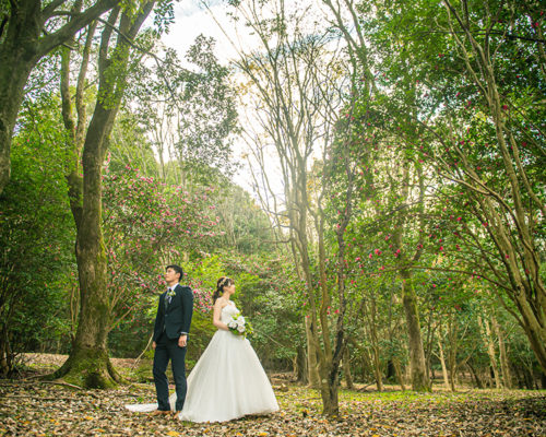 前撮り 福岡店 森の中で 熊本 福岡の結婚式前撮りは The Wedding Town ザ ウェディング タウン フォトウエディング専門店