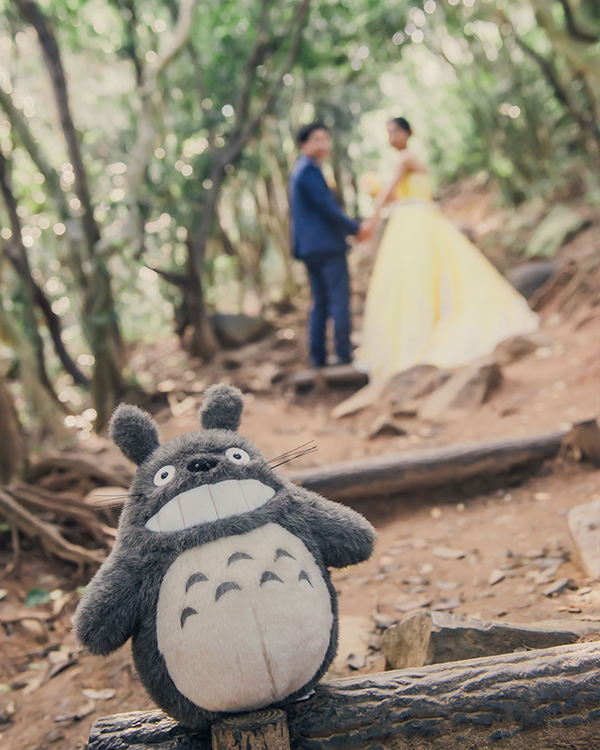 前撮り 福岡・熊本】トトロの森にトトロ | 前撮り・フォトウェディング